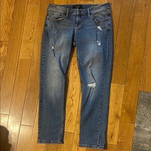 Banana Republic Women's Distressed Blue Skinny Jeans